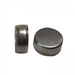 Fabricante de batería TWS Auricular Polímero Especial Batería de litio LR1254 Botón Batería Profesional Personalización